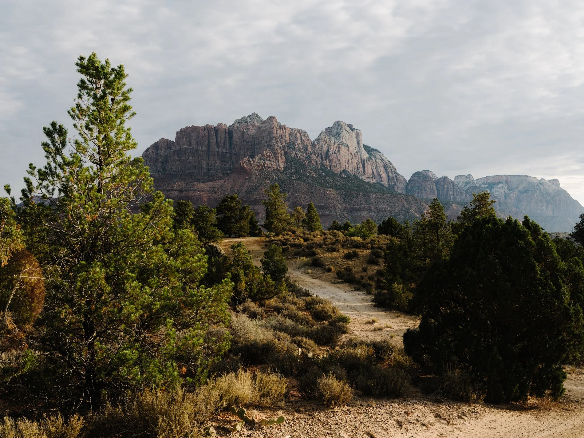 A view of rugged mountain peaks with a dirt trail winding through desert vegetation, including cacti and bushes, under a partly cloudy sky.