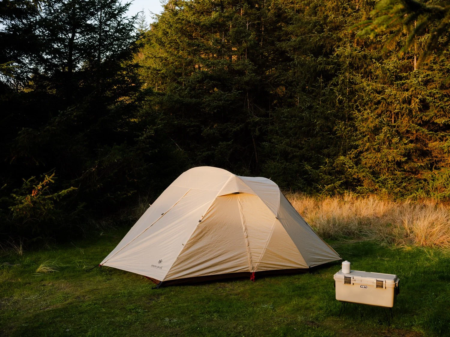 A beige camping tent set up on grass in a forested area with trees in the background at sunset or sunrise, with a white cooler placed nearby.