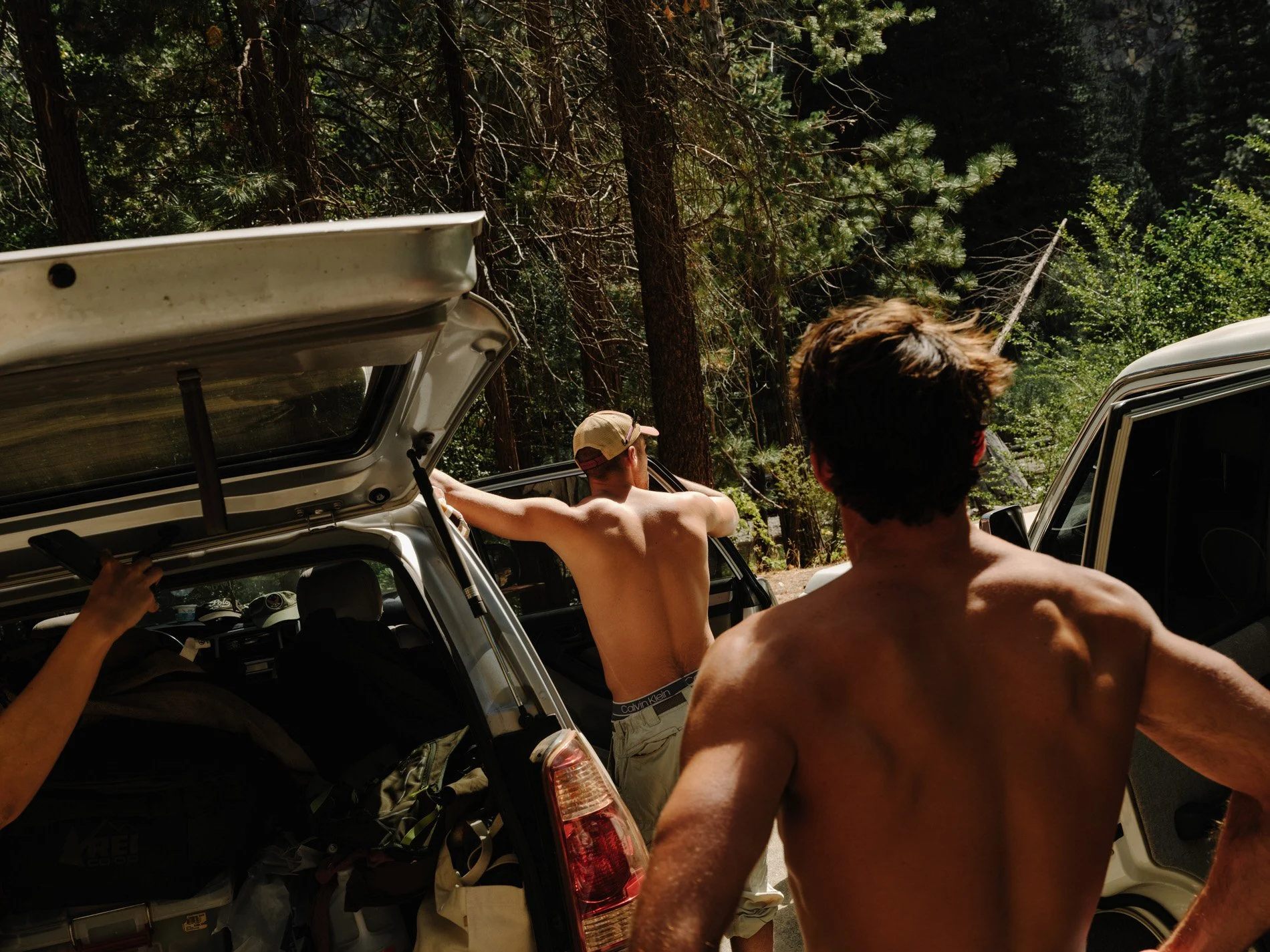 Sequoia NP_SE_092024HR-92.jpg