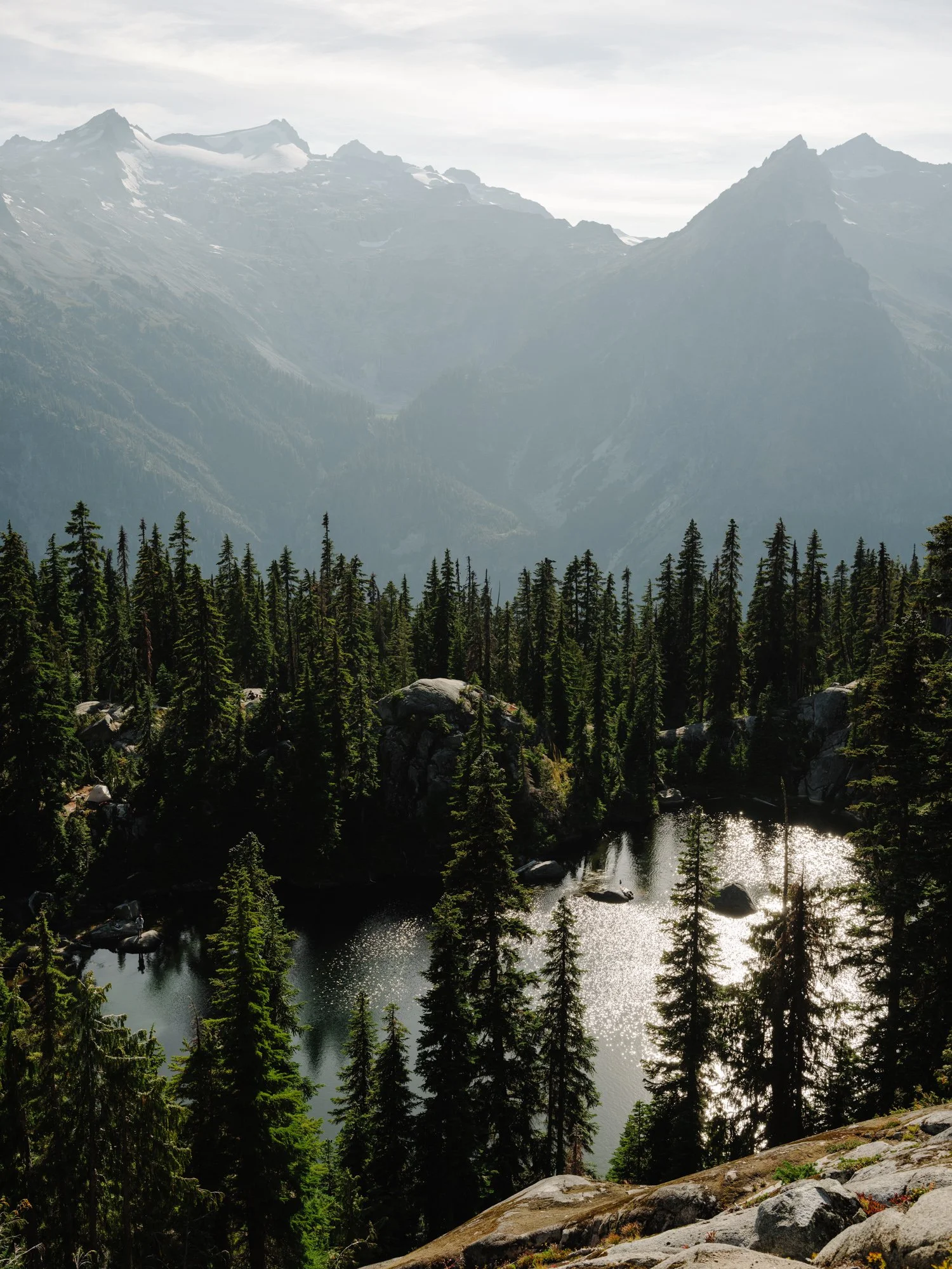 A mountain landscape with snow-capped peaks in the background, dense green pine trees in the midground, and a reflective river in the foreground.