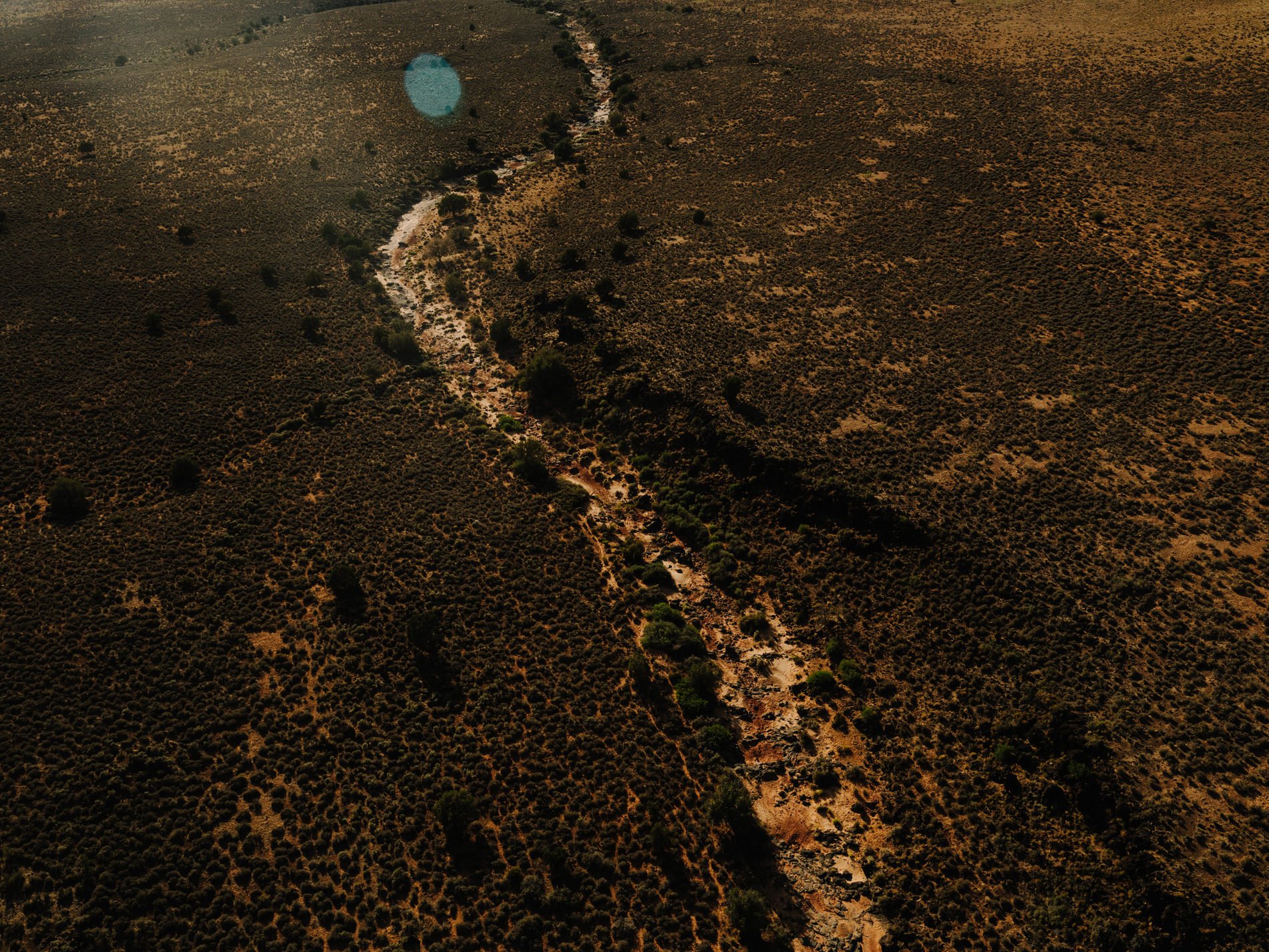 Aerial view of a desert landscape with sparse vegetation and a winding dirt trail cutting through the terrain.