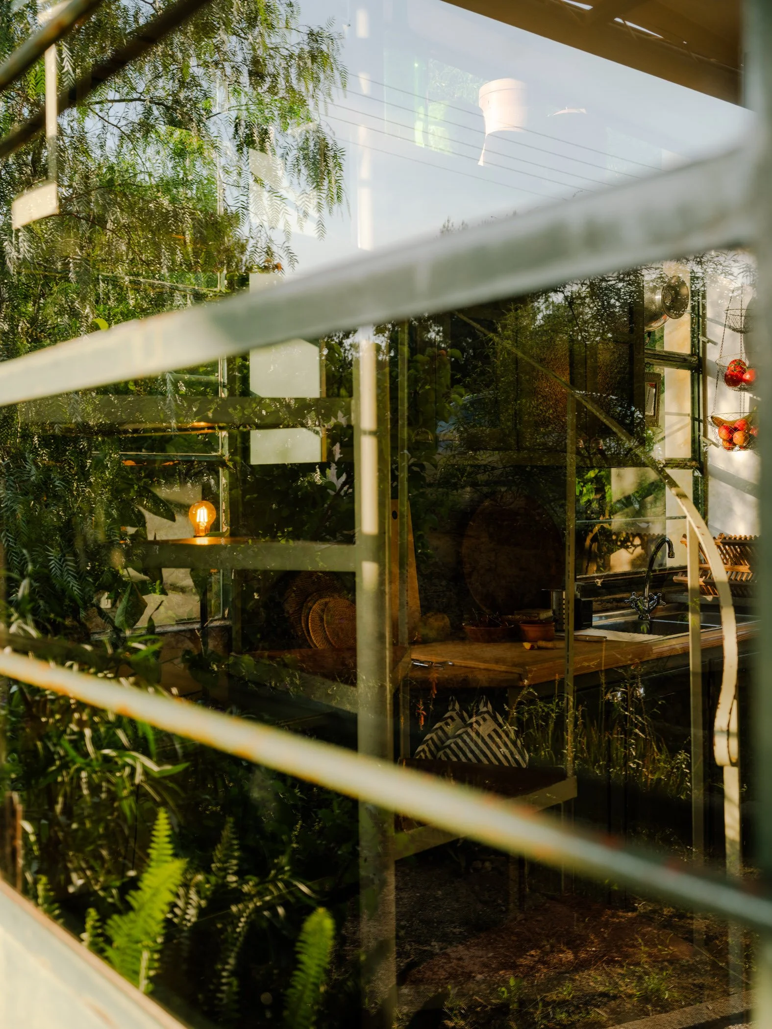 A view through a glass window with reflections showing indoor plants, a table lamp, and some furniture outside the window.