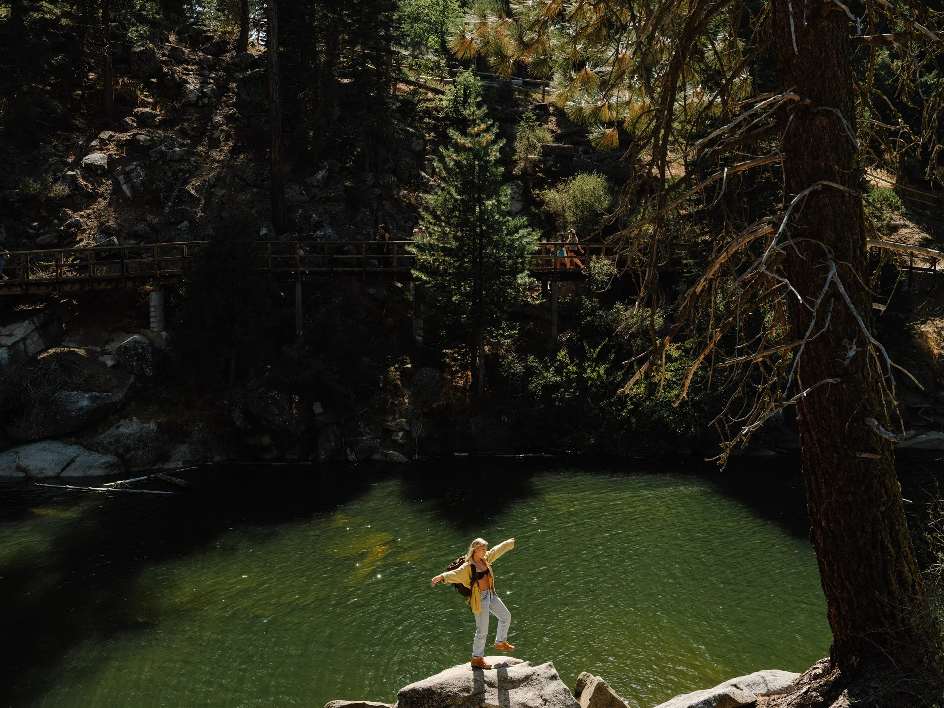 Sequoia NP_SE_092024HR-54.jpg