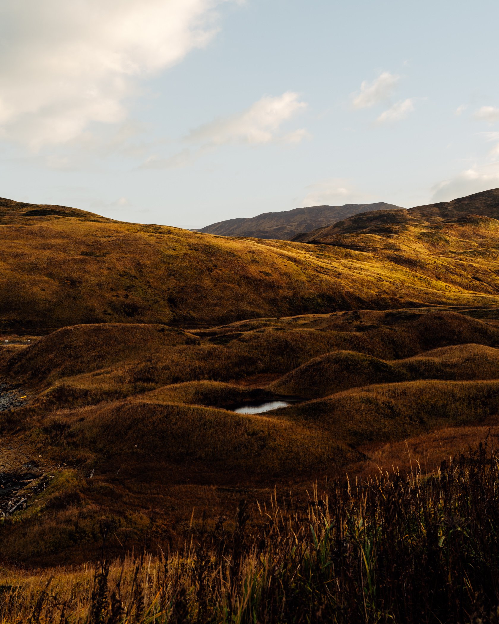 Dutch Harbor_HR_2024_Web-4.jpg