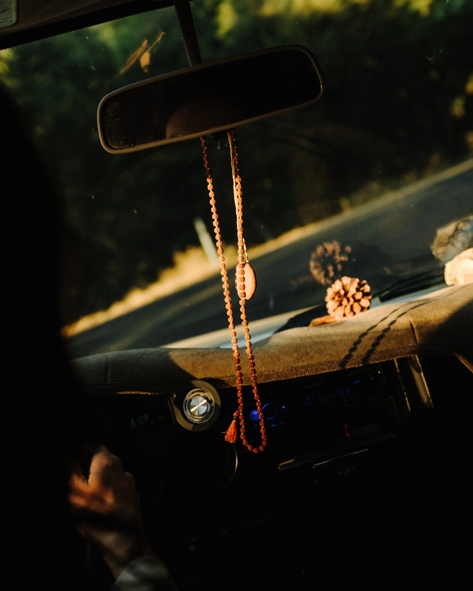 Sequoia NP_SE_092024HR-7.jpg