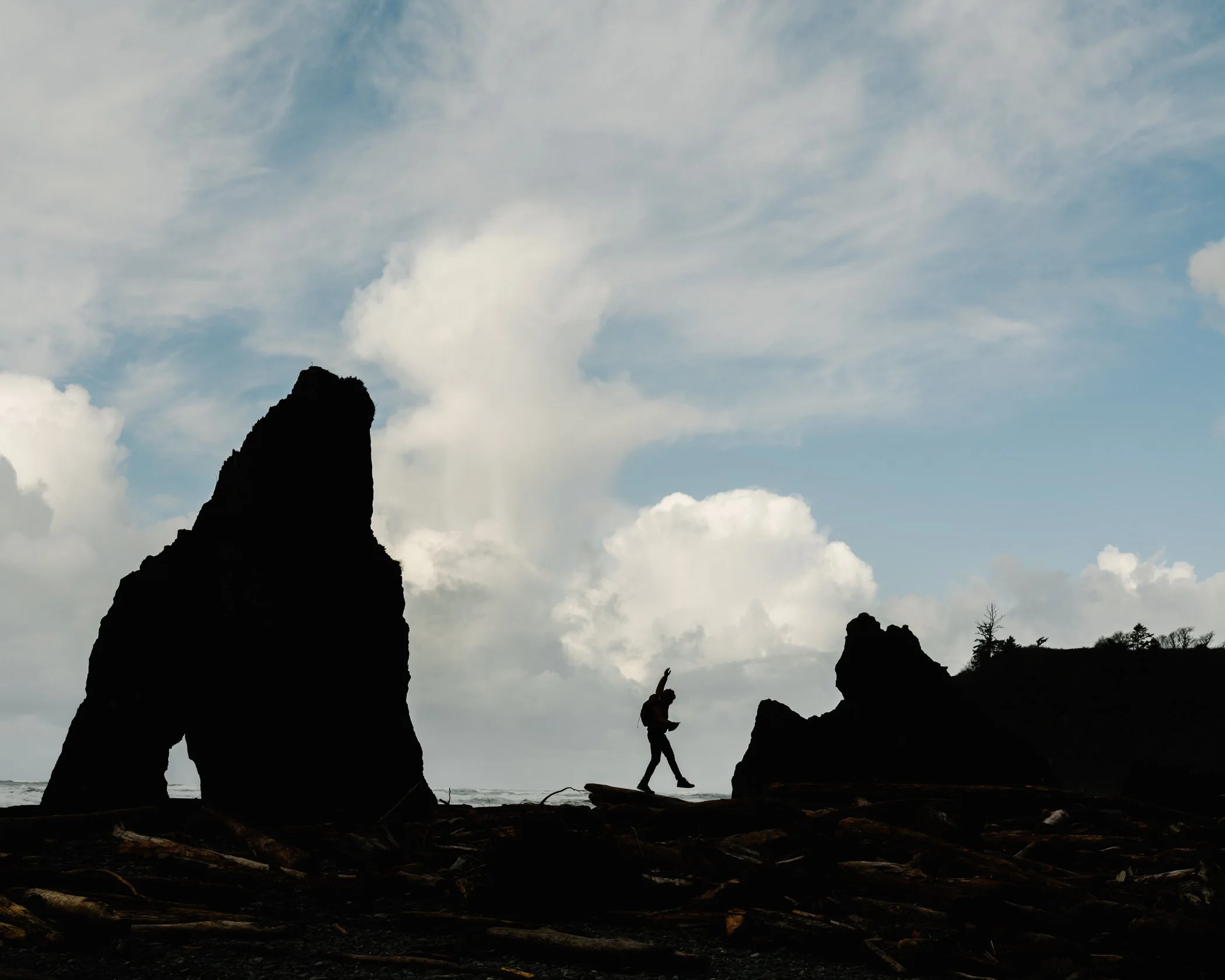 Olympic NP_SE_Alltrails032025HR-127.jpg