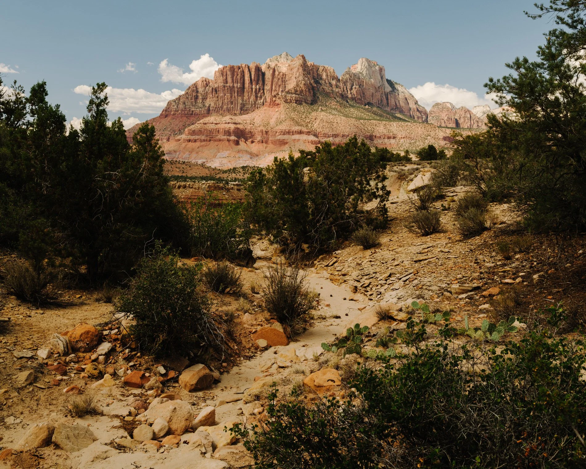 A scenic desert landscape featuring a dirt trail with rocks and sparse vegetation, leading towards prominent red rock formations and mesas under partly cloudy skies in the distance.