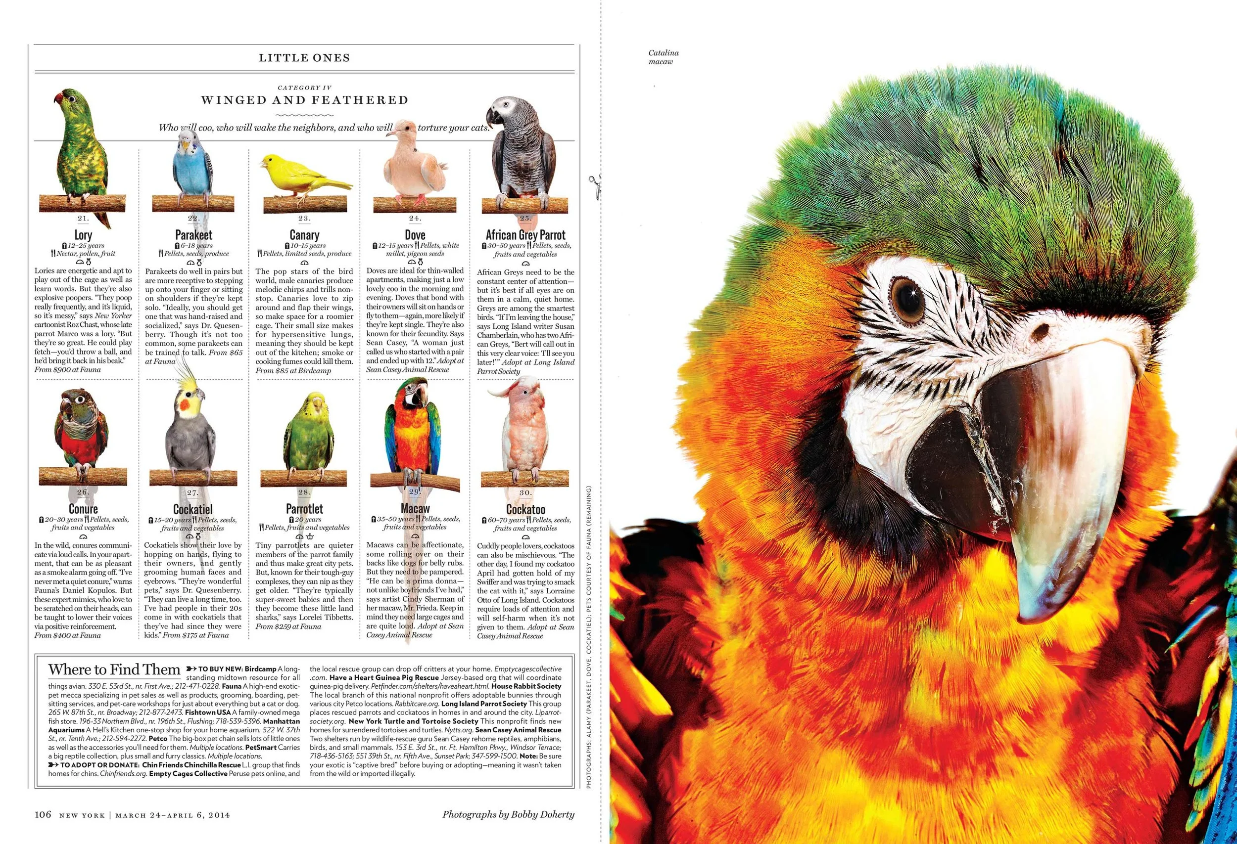 Animals2.jpg