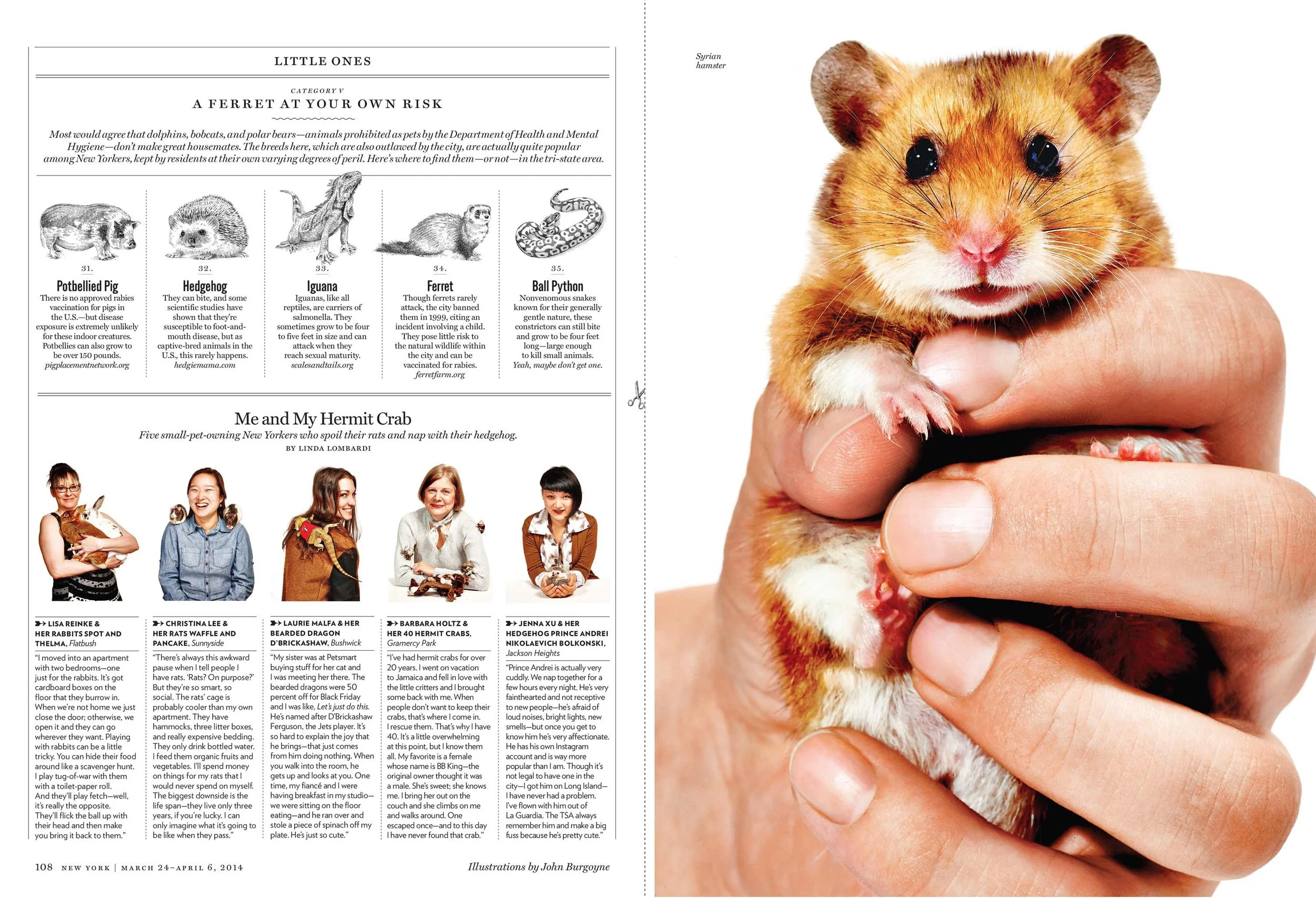 Animals3.jpg