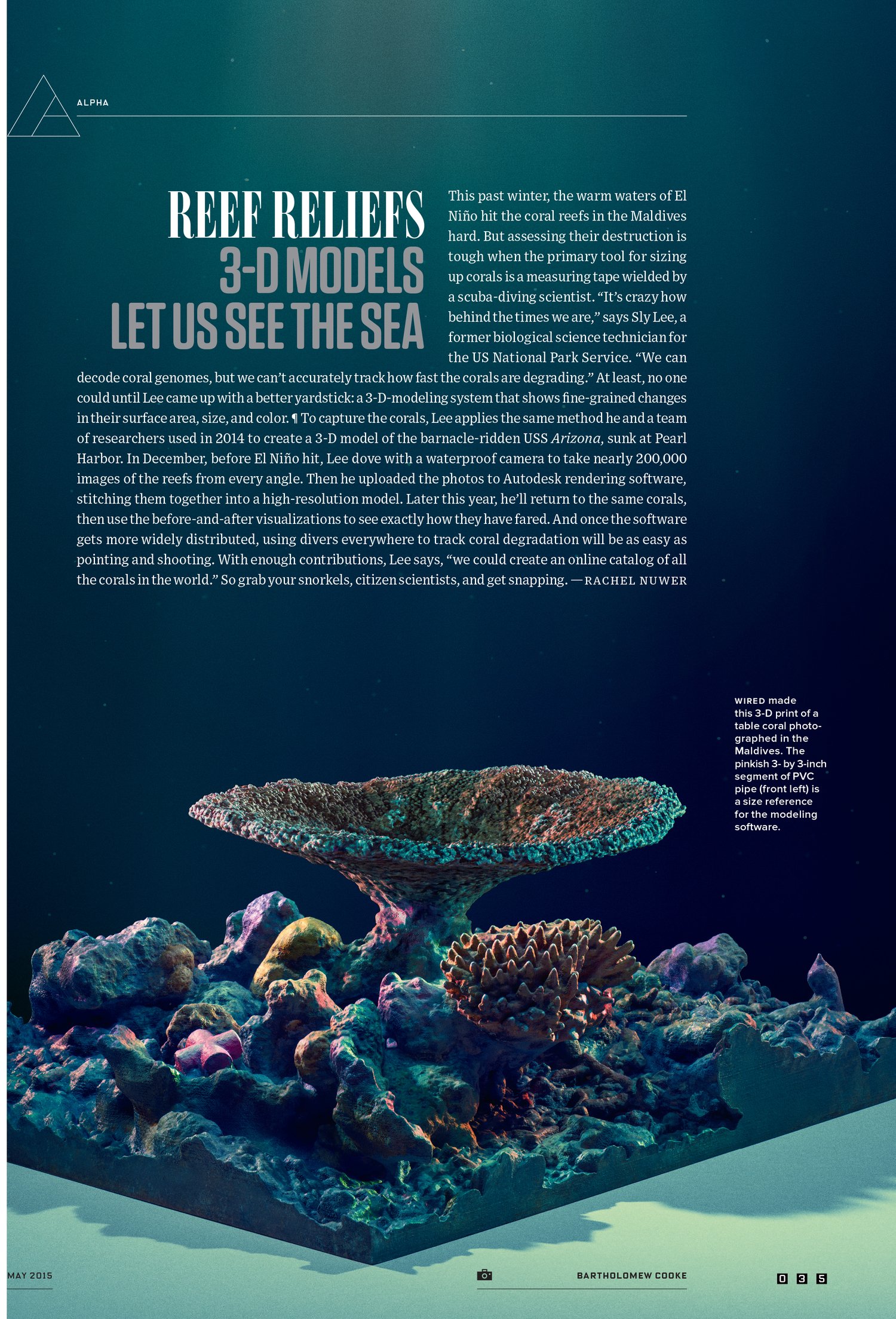 WIRED_Coral.jpeg