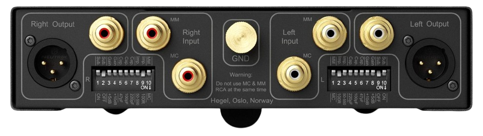 Back panel of a Hegel audio device with RCA and XLR input and output connections, ground connection, and a fuse switch.