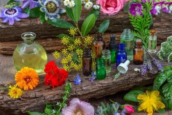 Différentes bouteilles en verre et en plastique contenant des huiles essentielles ou des substances aromatiques, entourées de fleurs colorées et de feuilles, sur une surface en bois.