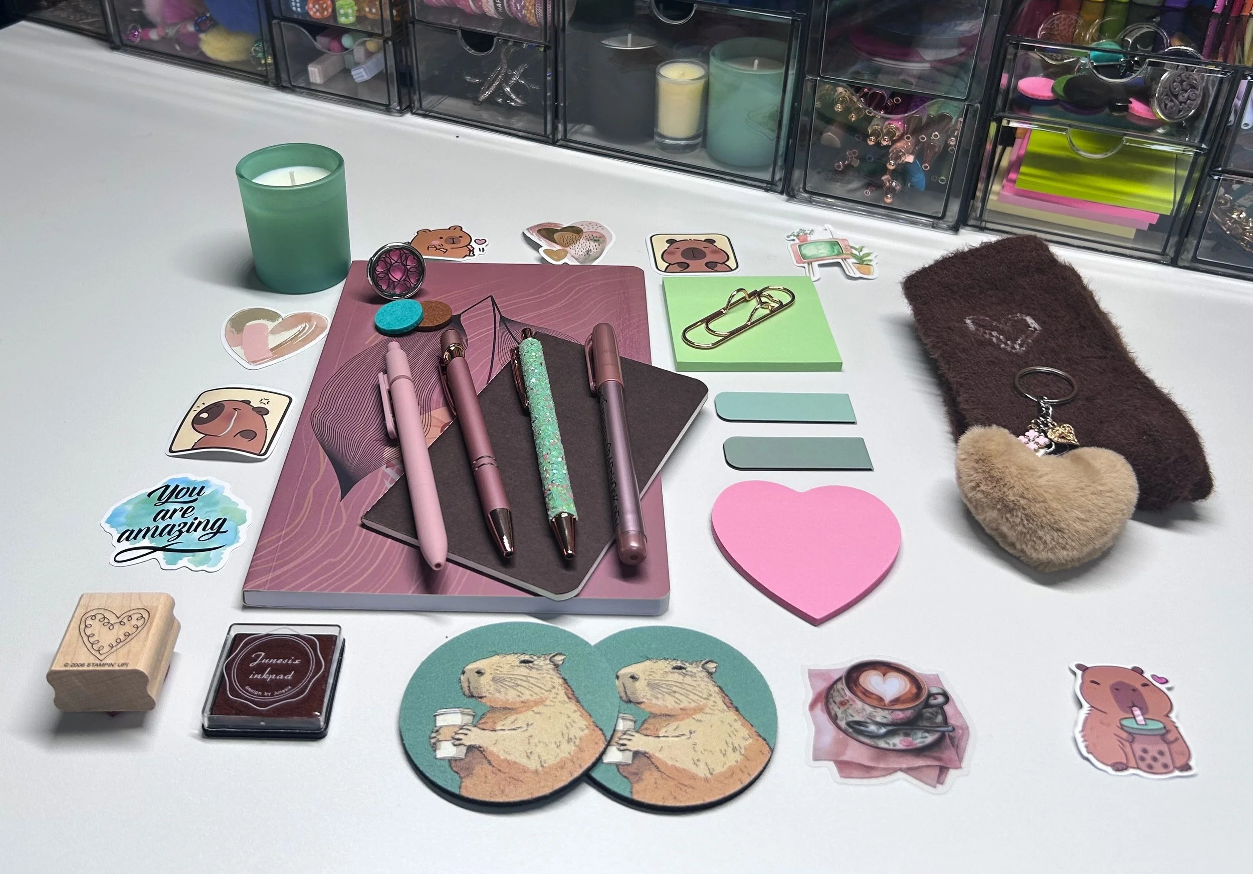 Get Well Capybara - Trinket (15 Items)