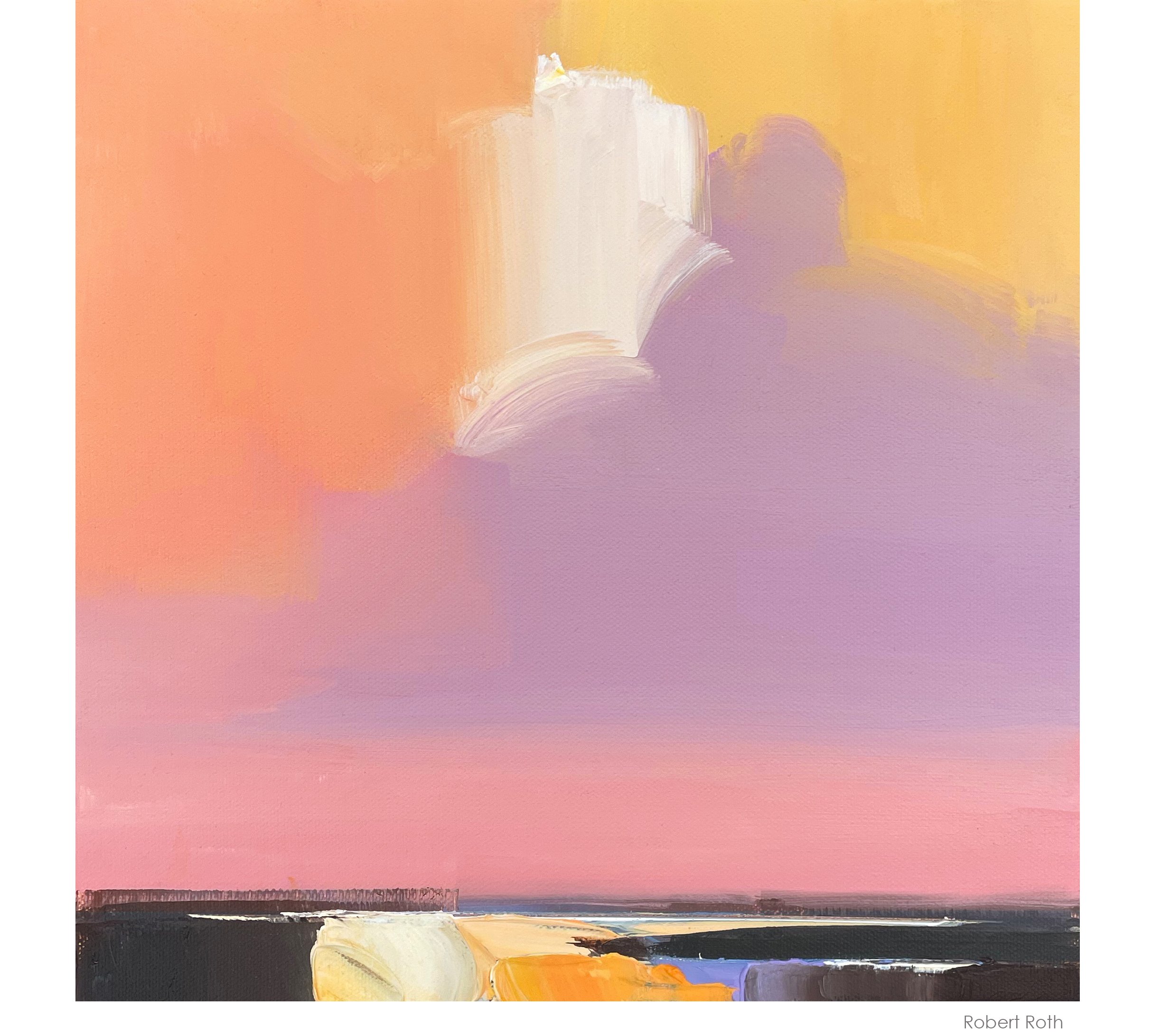 sky field #8 webbox n.jpg