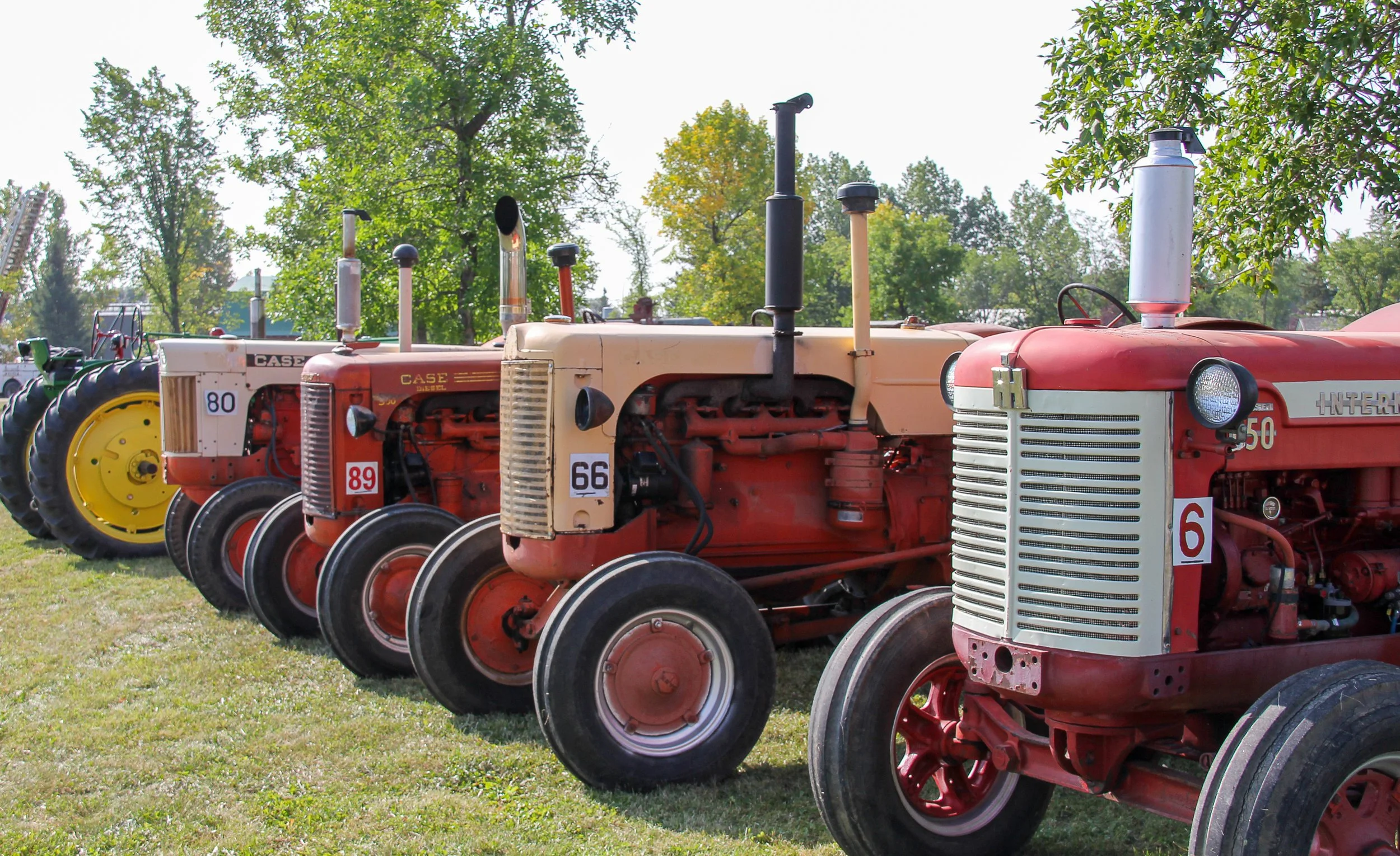 Fall Harvest