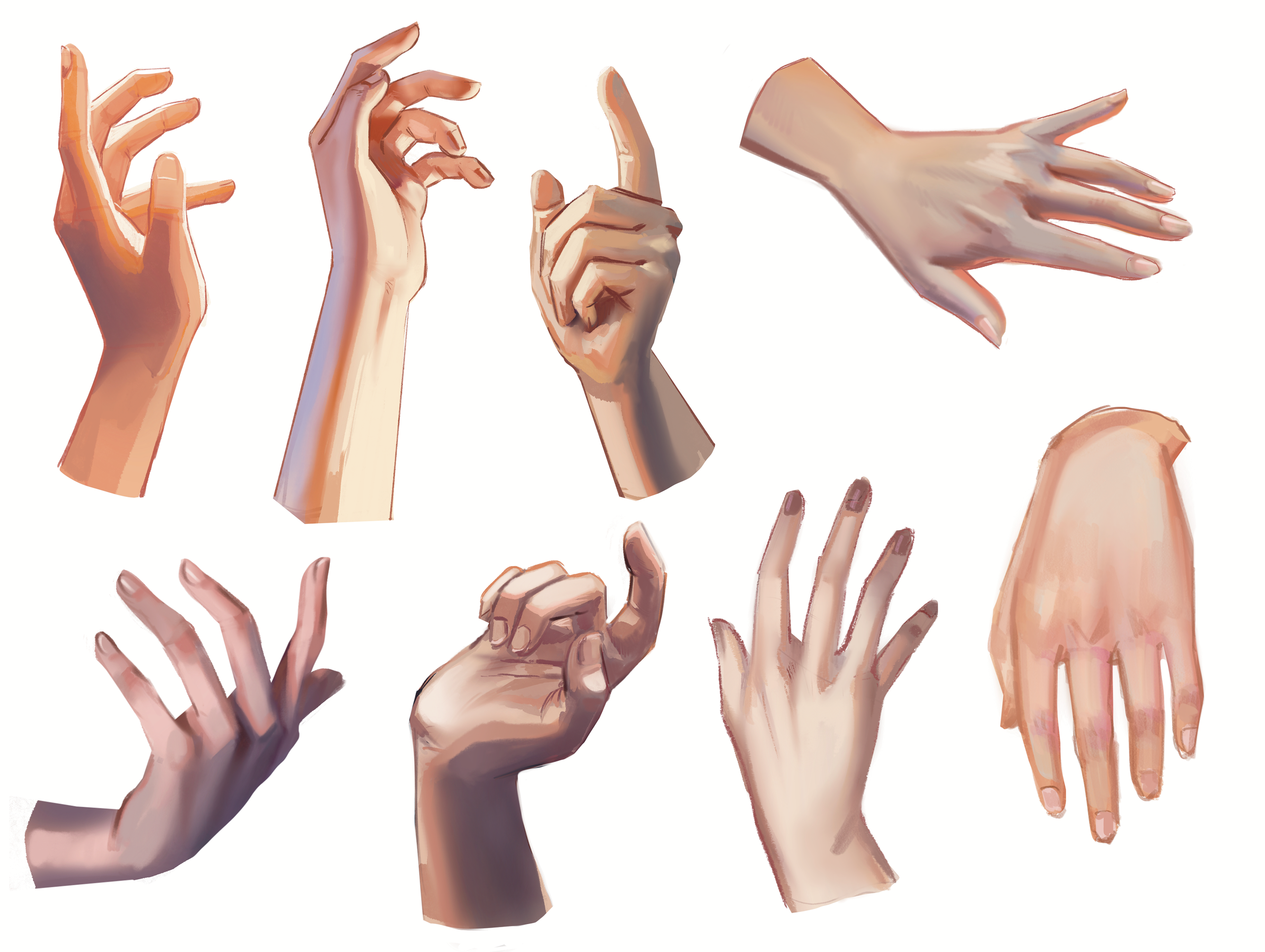 p13.png