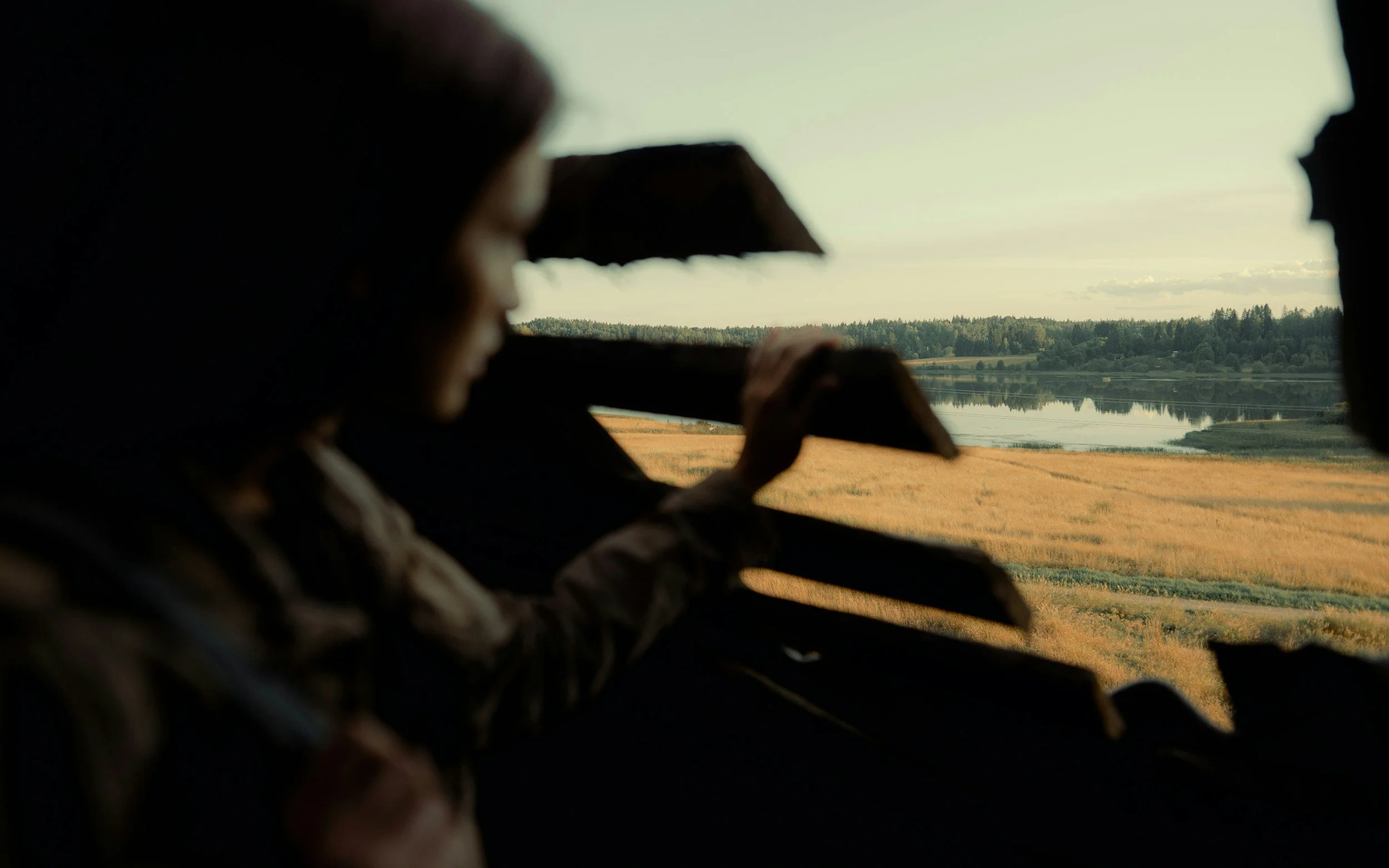 View through a window showing a river, grassy fields, and a tree-lined horizon on a clear day, with silhouette of a person holding a rifle or similar object in the foreground.