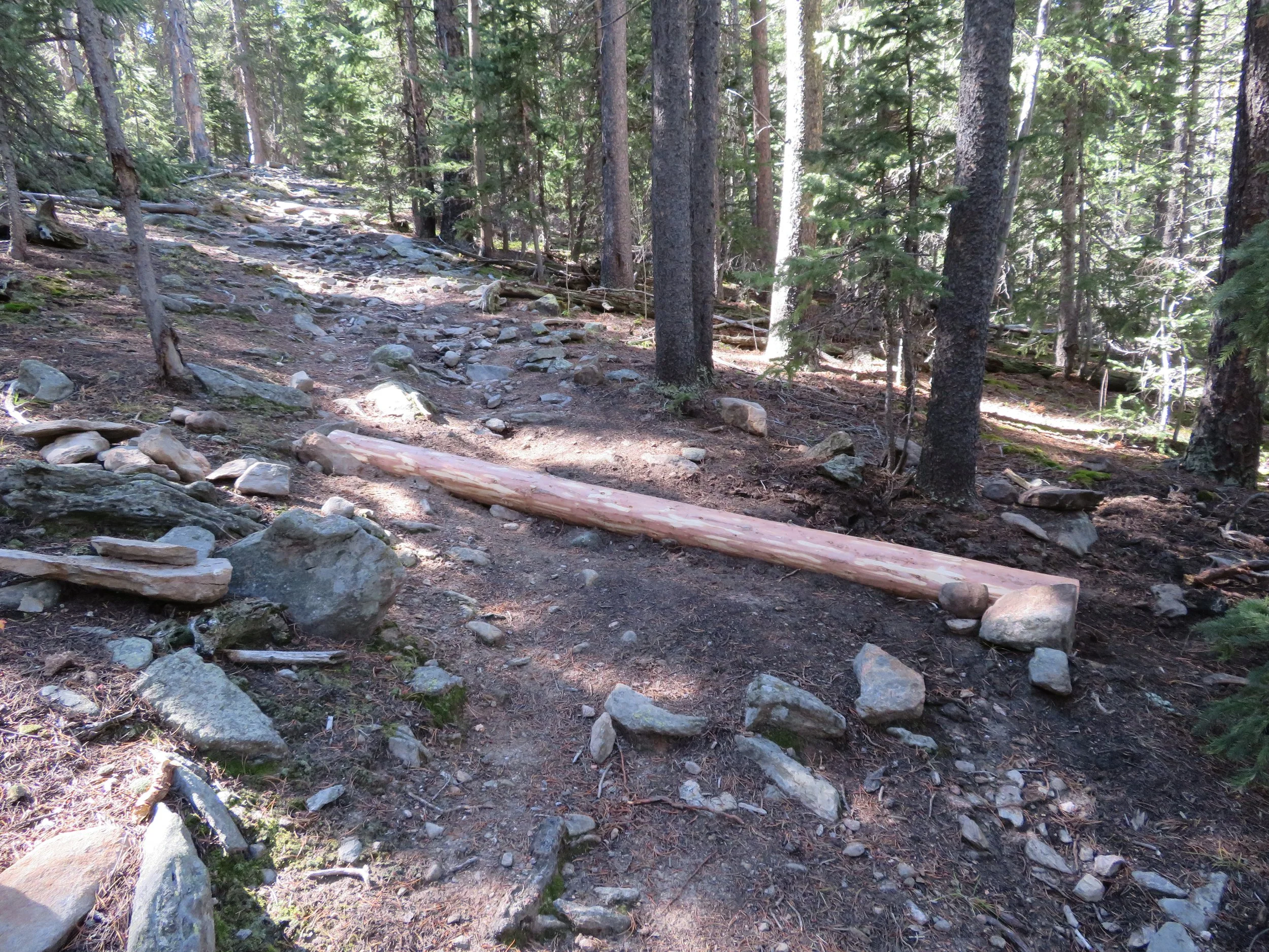 Fancy waterbar smooths the trail