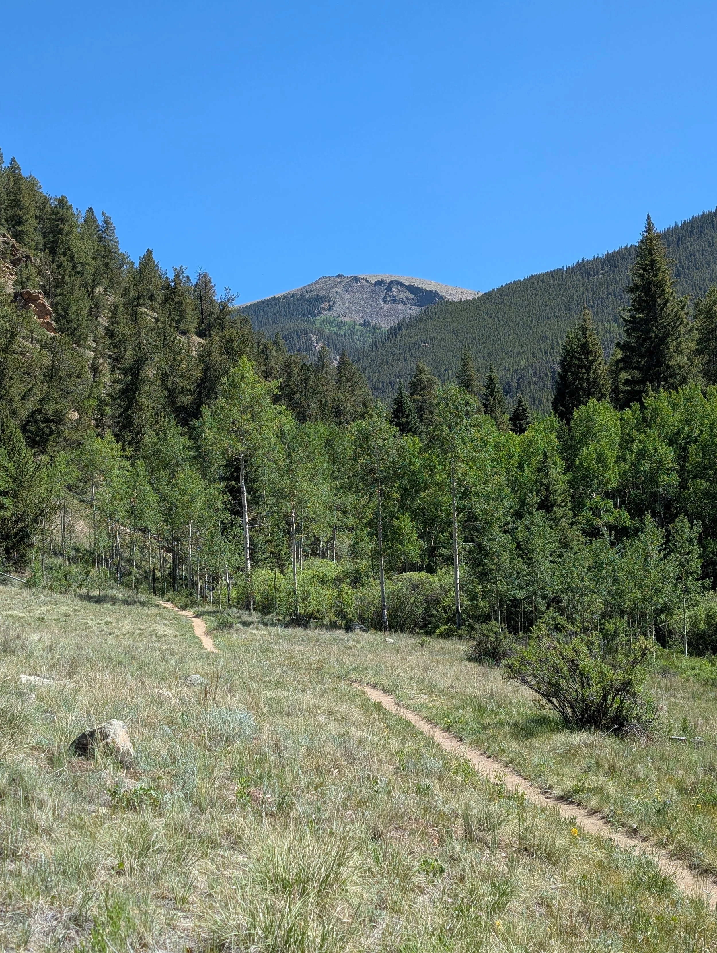 Chapter 2 The meadow’s edge