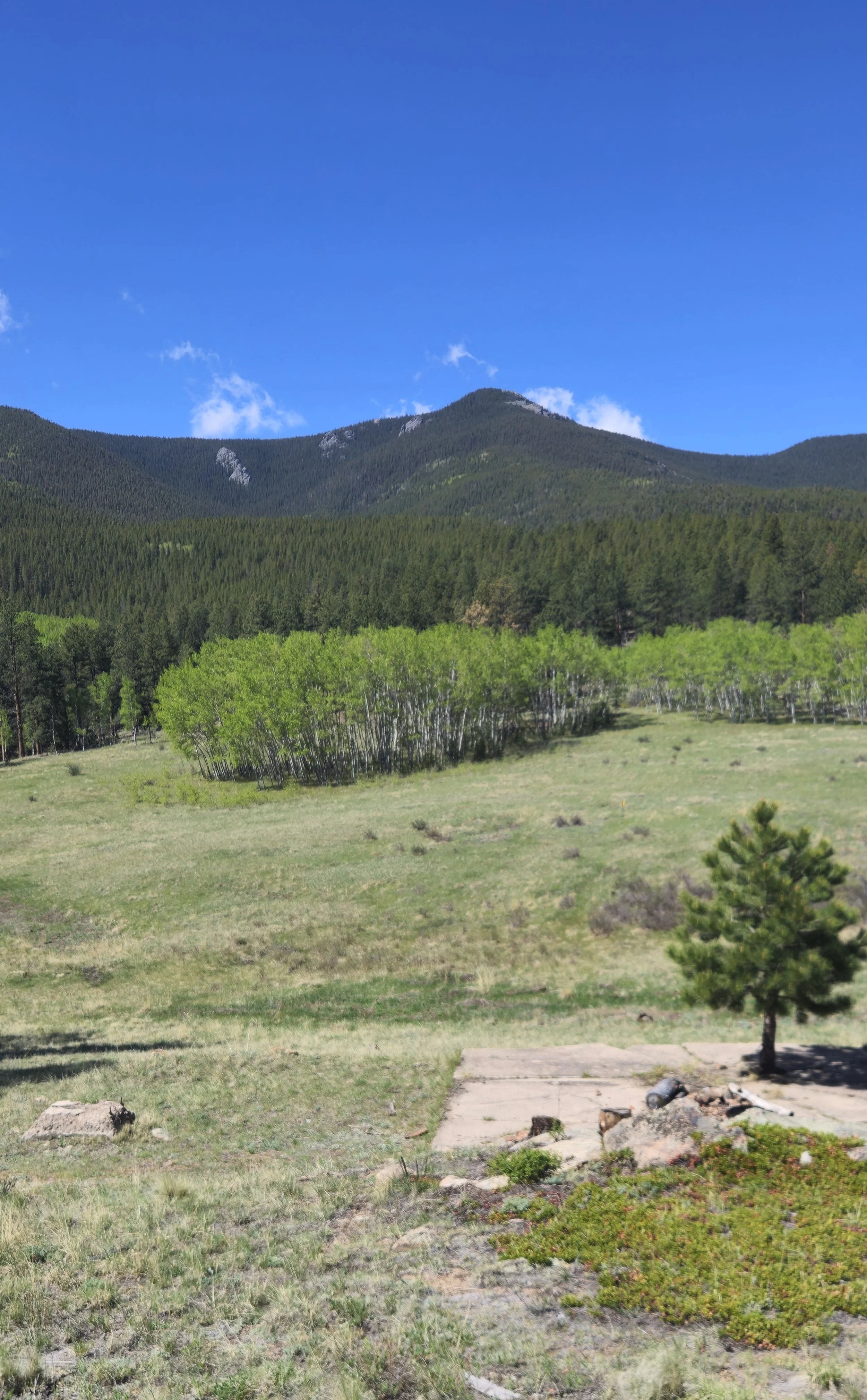Chapter 17 CCC camp remnants