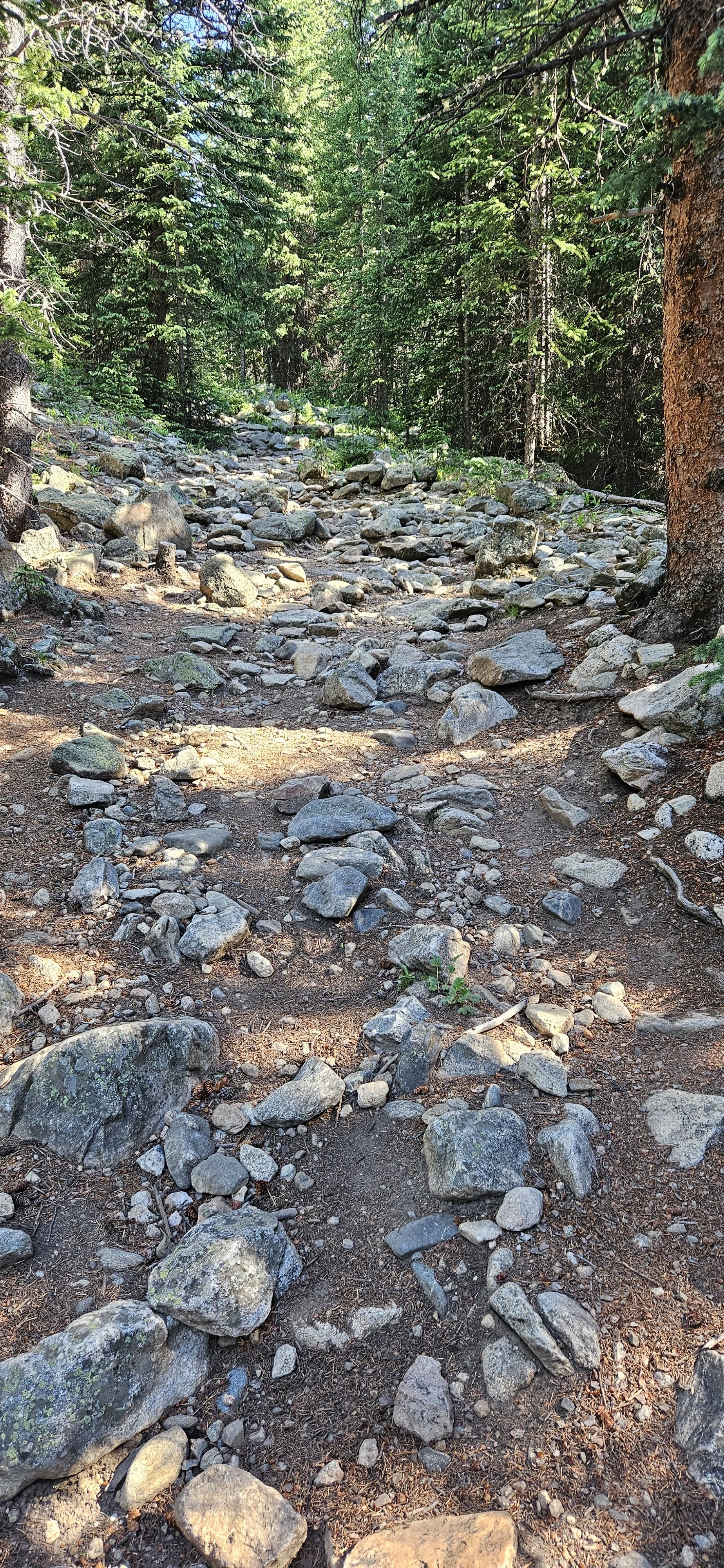 Chapter 20 Eroded timber road, the new trail