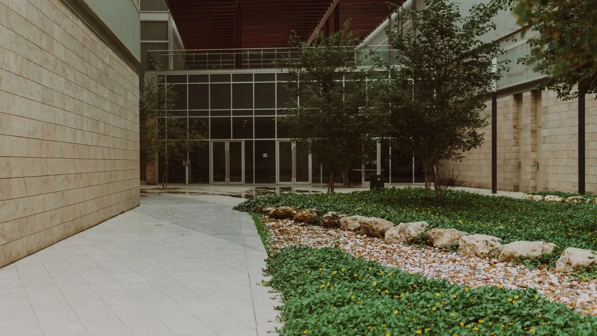 Modern outdoor courtyard with trees, rocks, and low plants, adjacent to a building with glass doors and stone walls.
