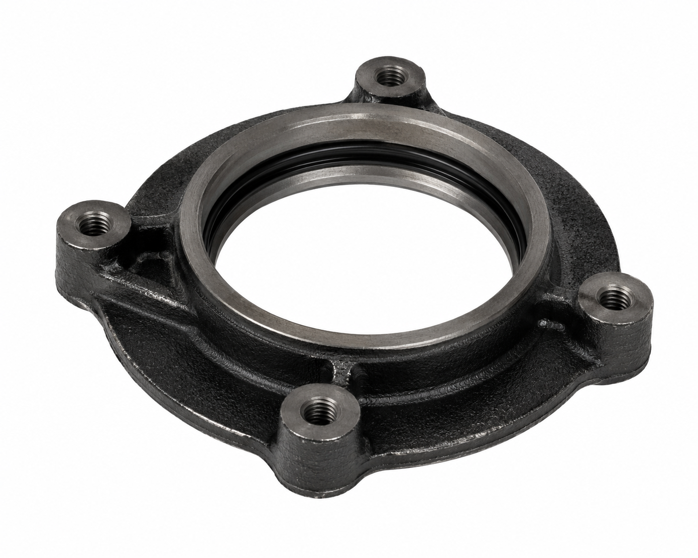 seal_retainer_dq3wsh.webp