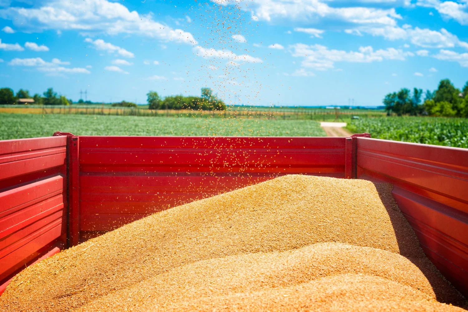 Before Harvest Ends: Signs Your Grain Handling Equipment Needs Service