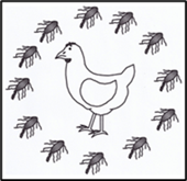 Chicken Banquet with Salmonella