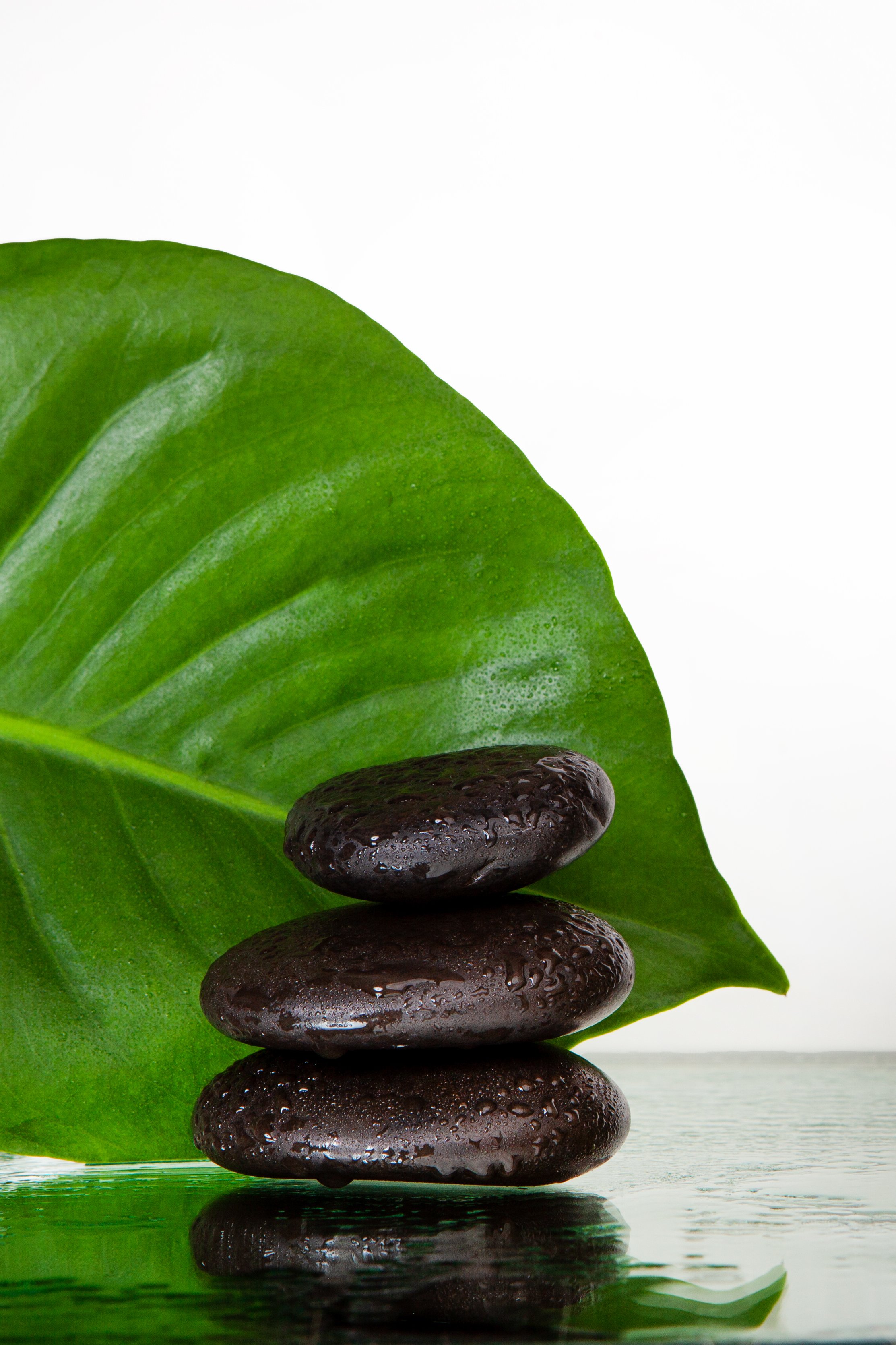 vecteezy_black-spa-stones-and-large-leaf-on-reflective-surface_49961359.jpg
