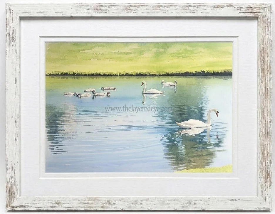 A Bevy of Swans
