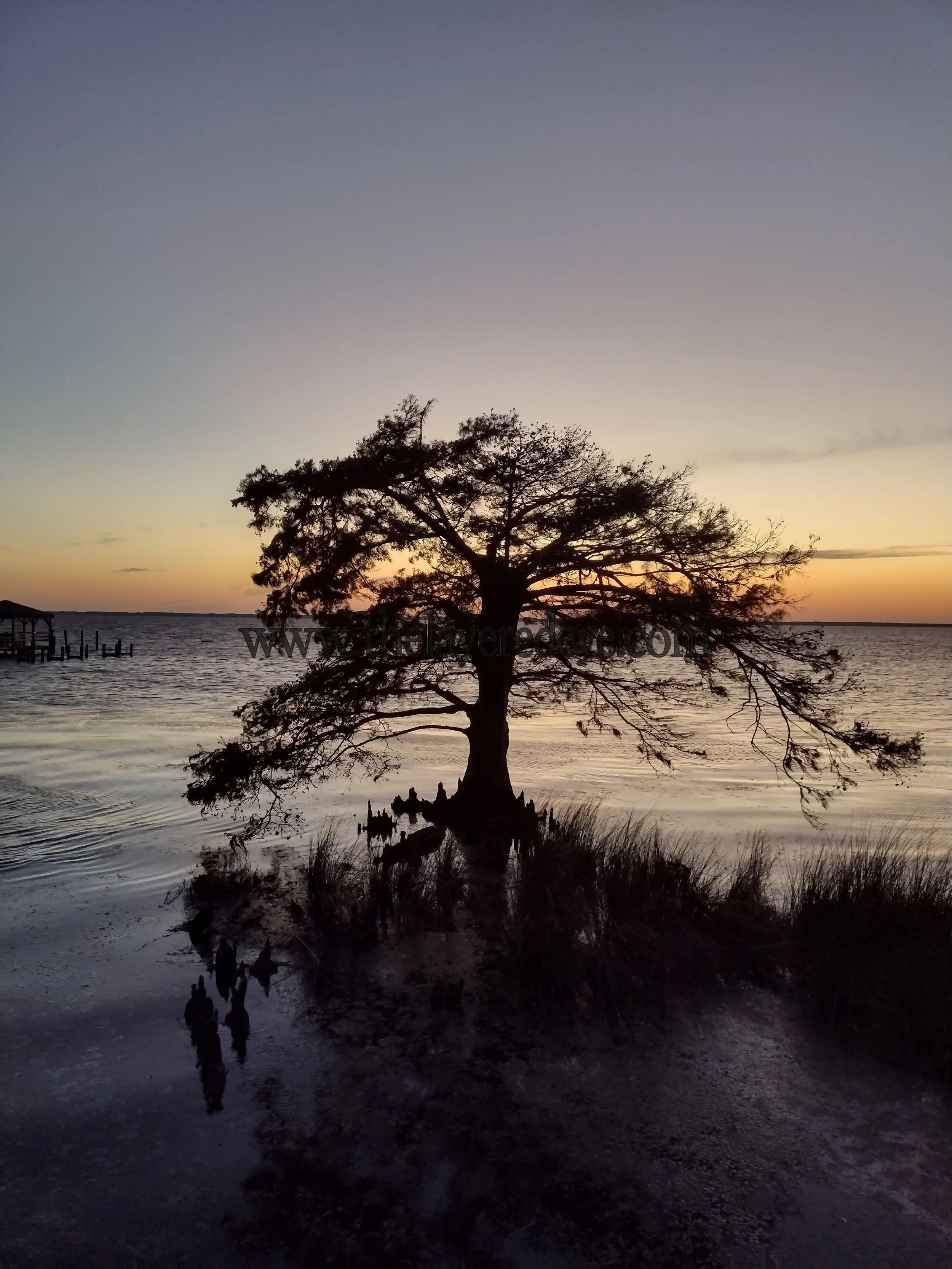The Solitary Edge