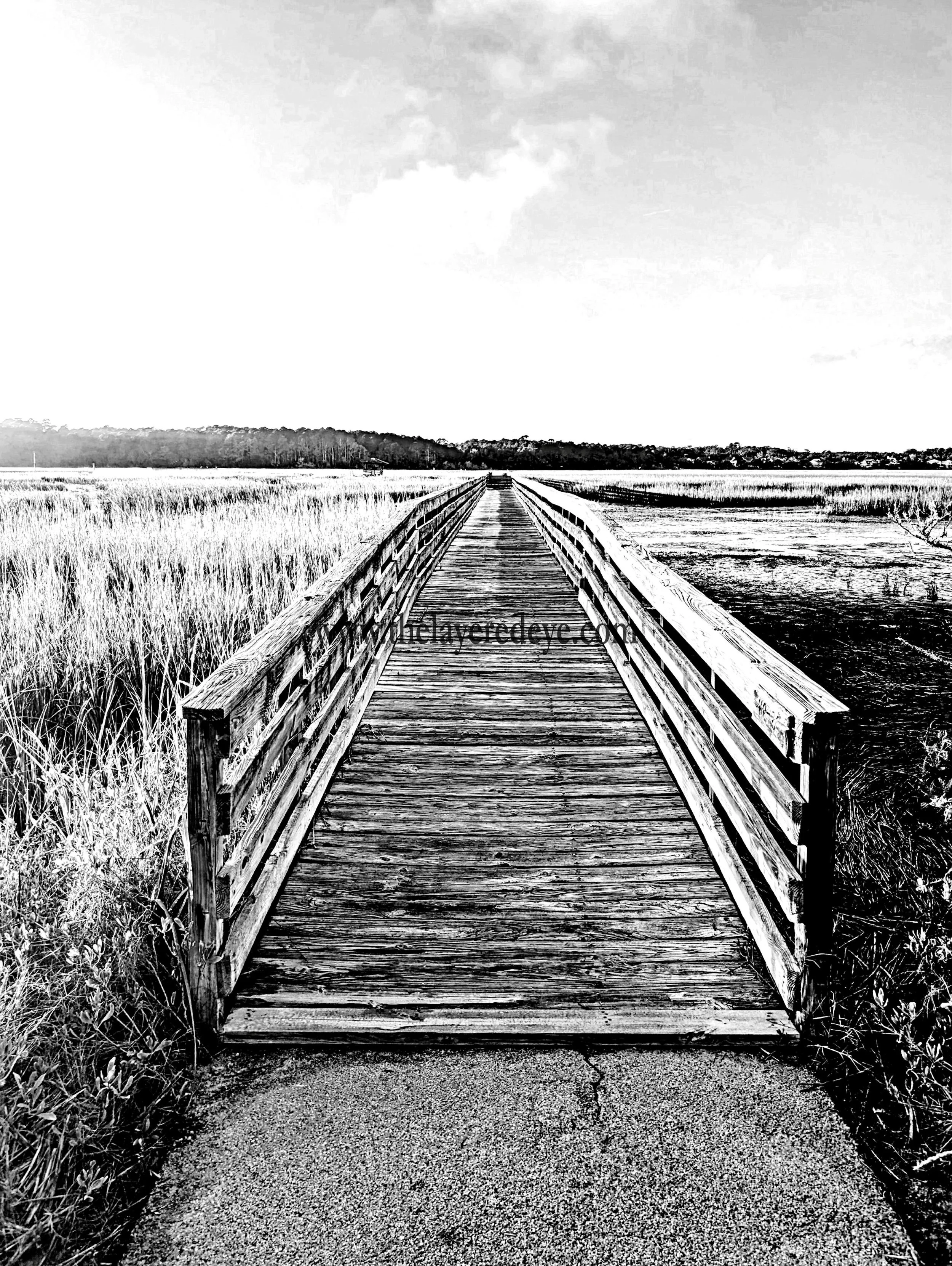 Lowcountry Perspective 24x36 - Watermark.jpg
