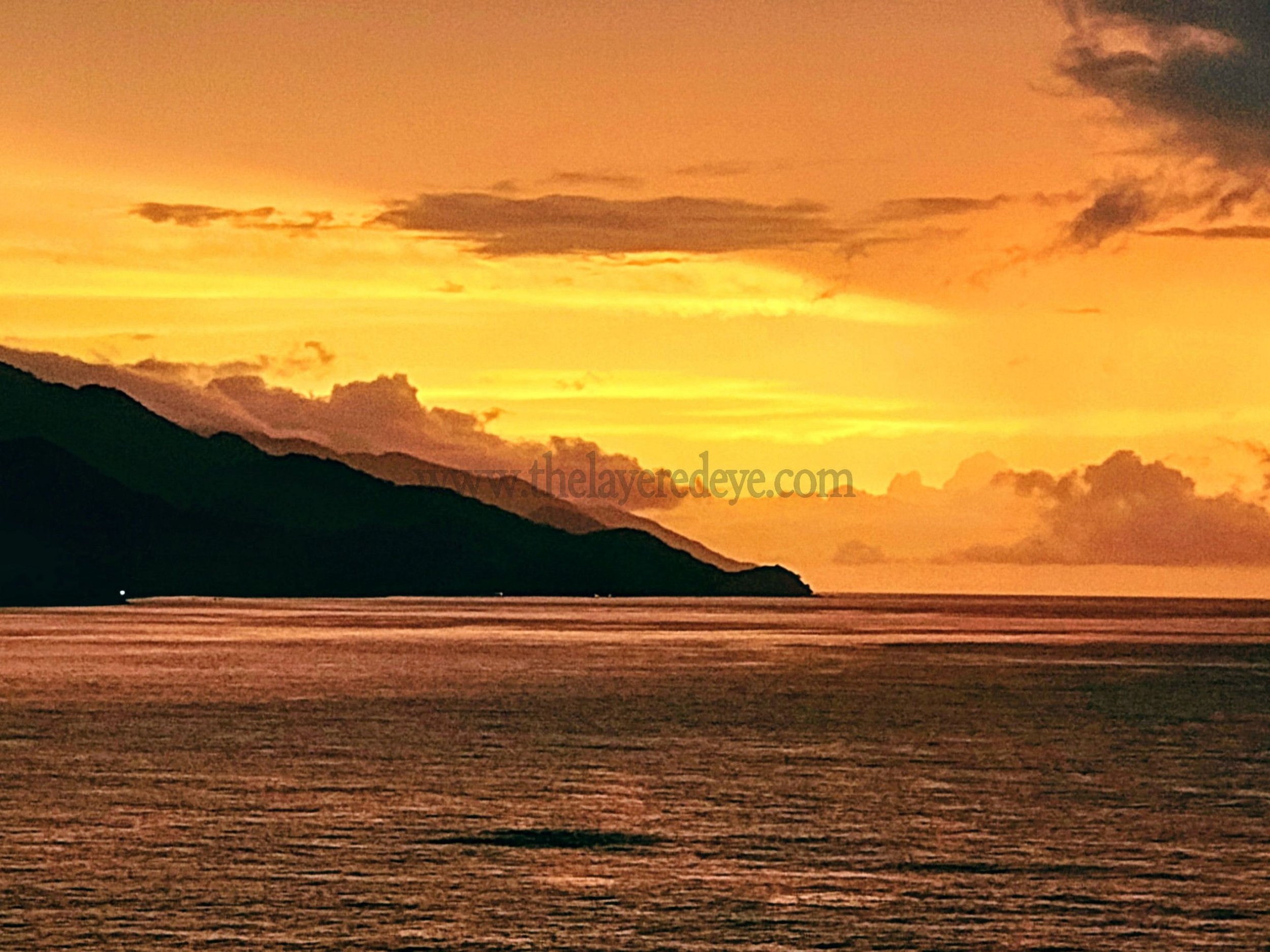 Amber Horizon