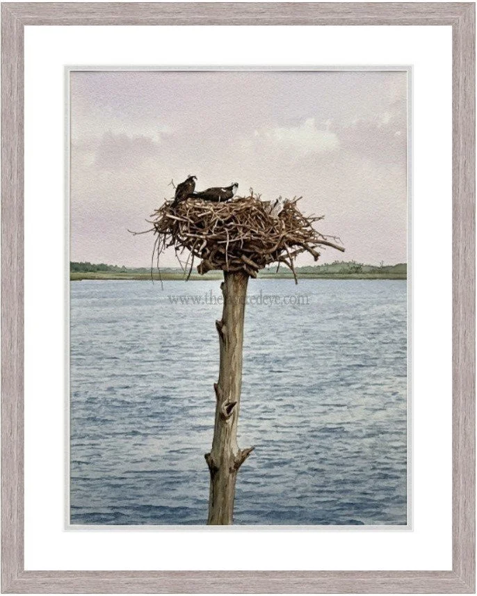 Coastal Sanctuary