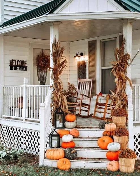 Autumn Cornstalks