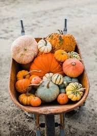 Pumpkin Removal