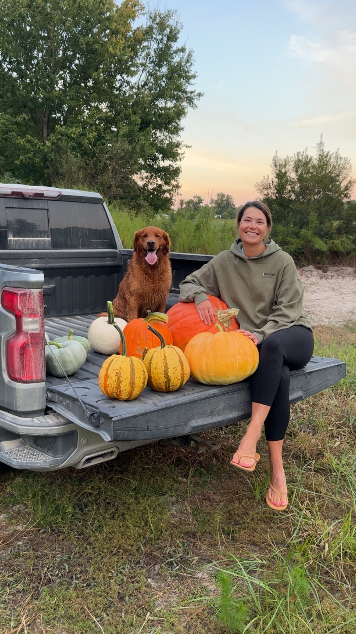 A woman sitting on the tailgate of a pickup truck with a golden retriever, surrounded by pumpkins and gourds, outdoors at sunset.