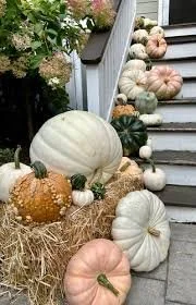 PrizeWinner Pumpkin