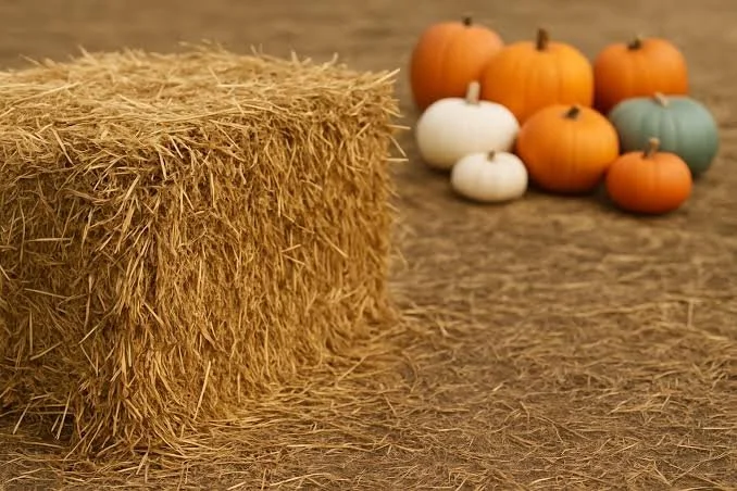 Hay Bale