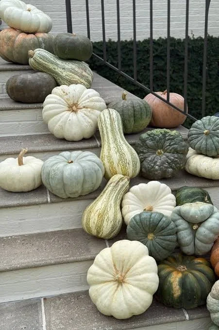 Porcelain Pumpkin Color Palette