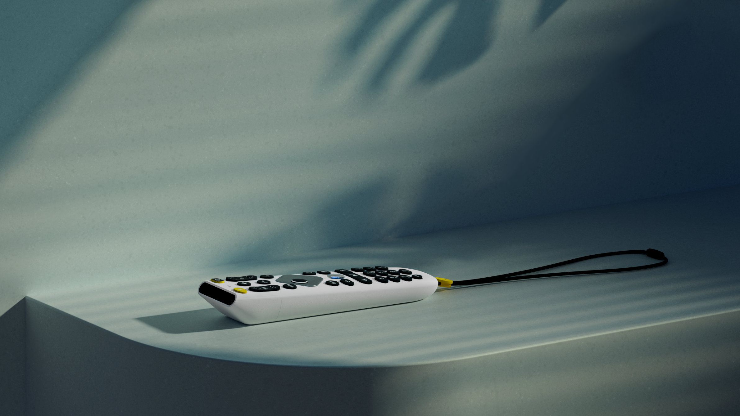 Accessibility remote