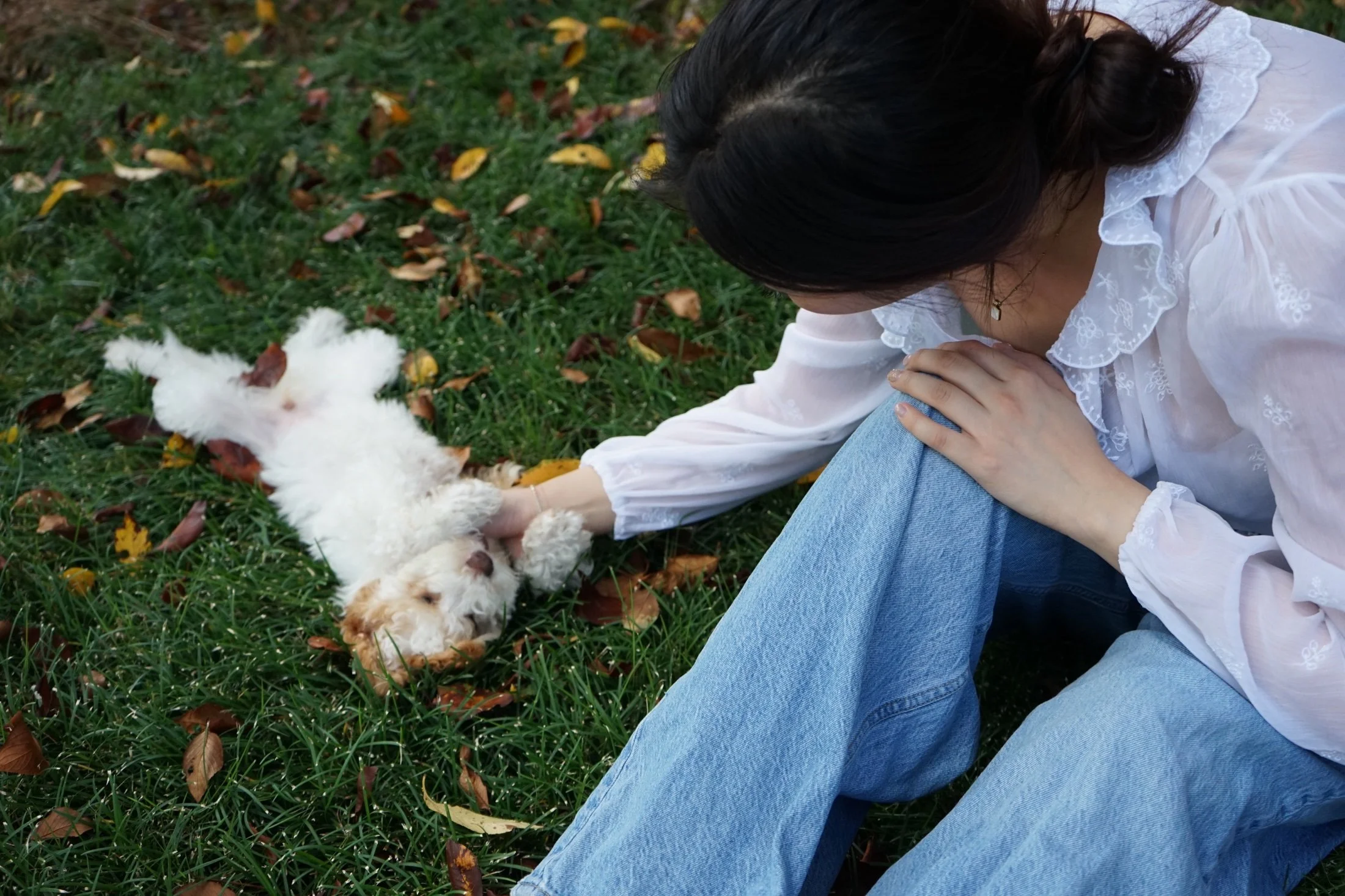 Cindy sitting in the grass among autumn leaves, rubbing her puppy's belly