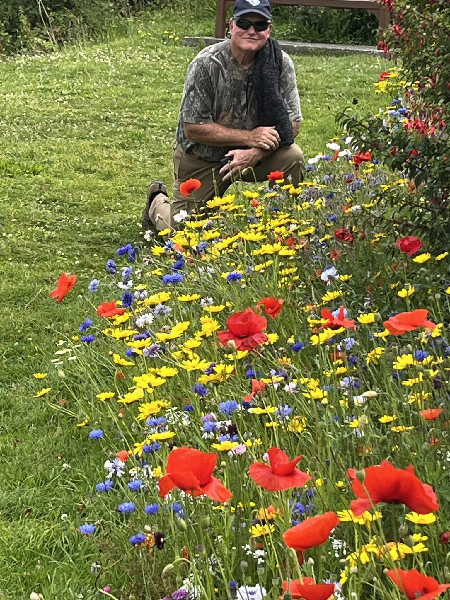 Flowers in Tenby