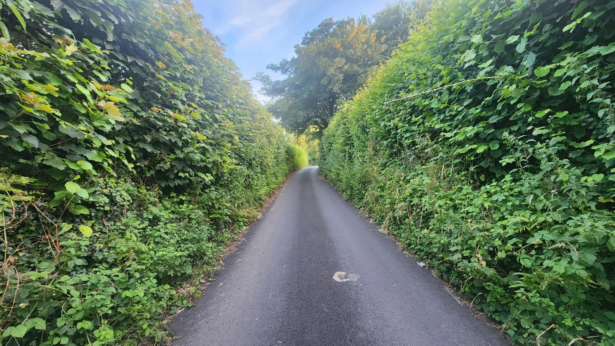 Typical Welsh Road!
