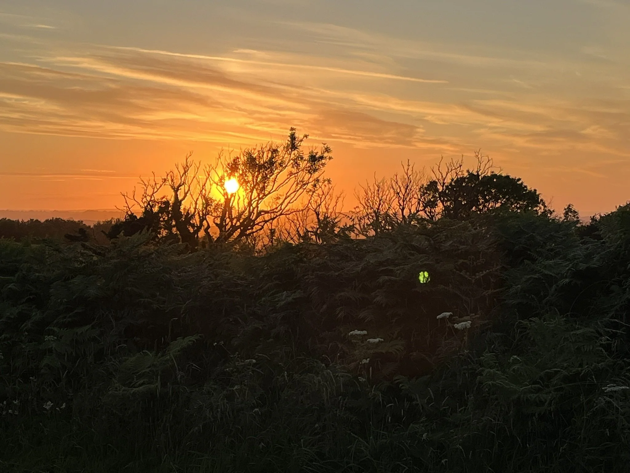 Welsh Sunset