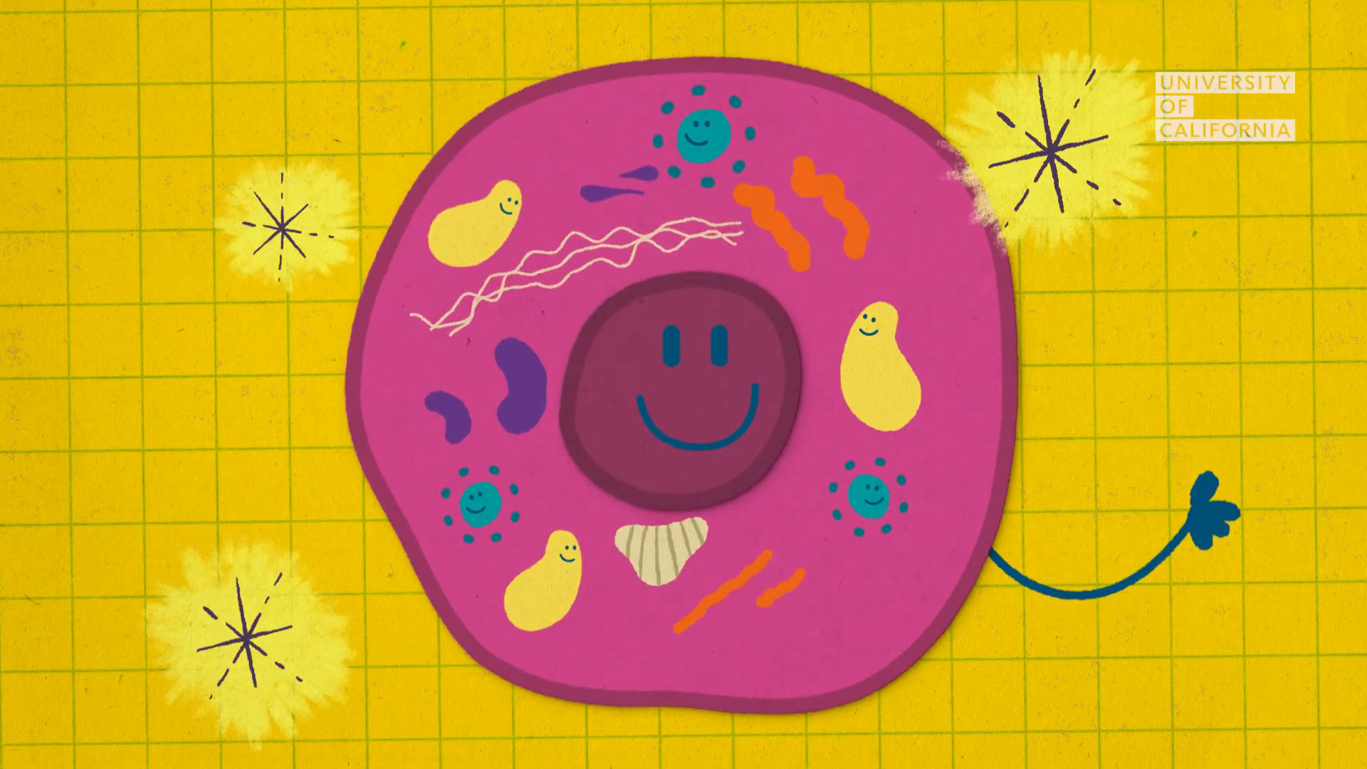 05_01m30_000s_cell-response.png