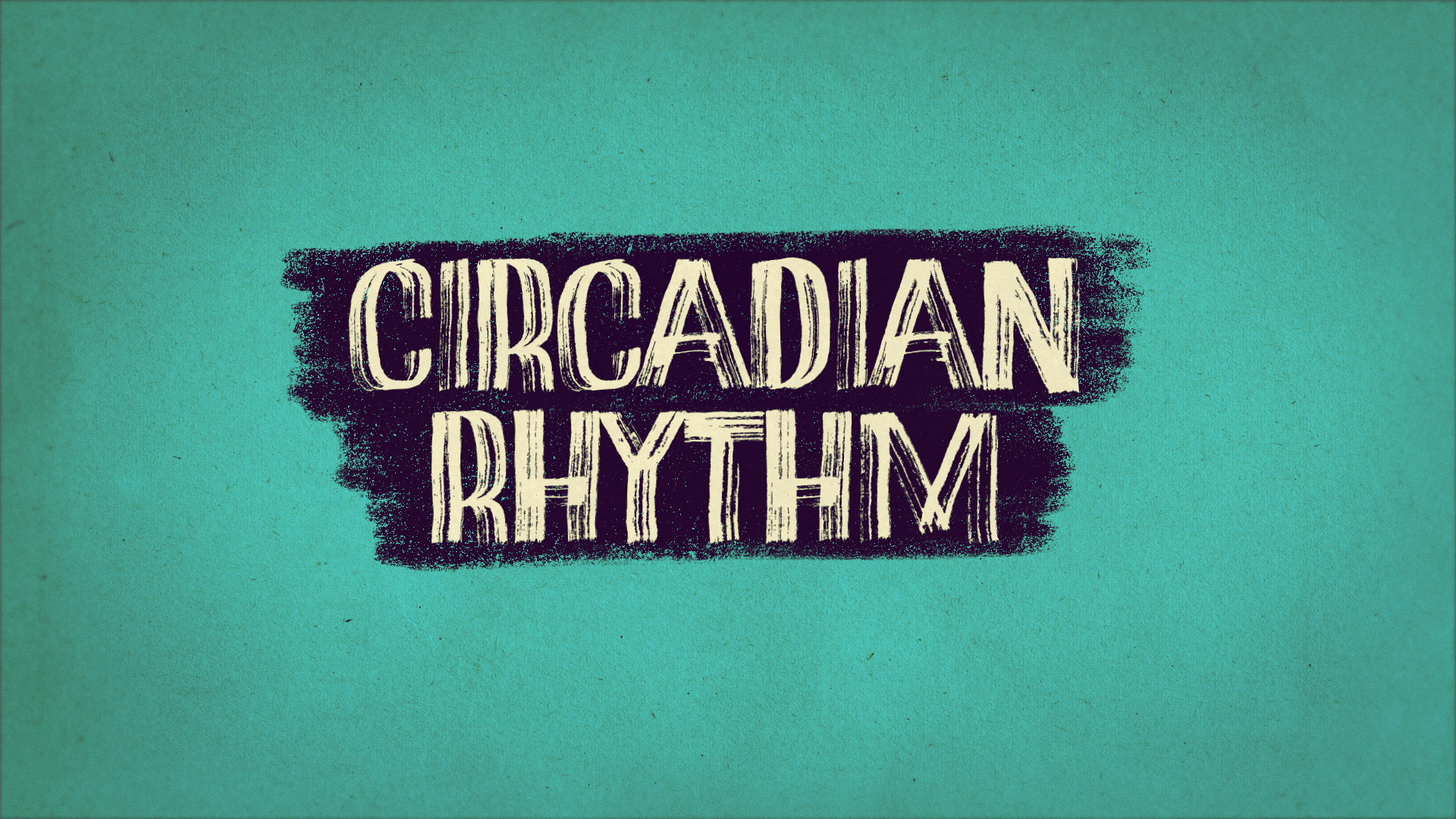 03_00m48_000s_circadian-rhythm.png