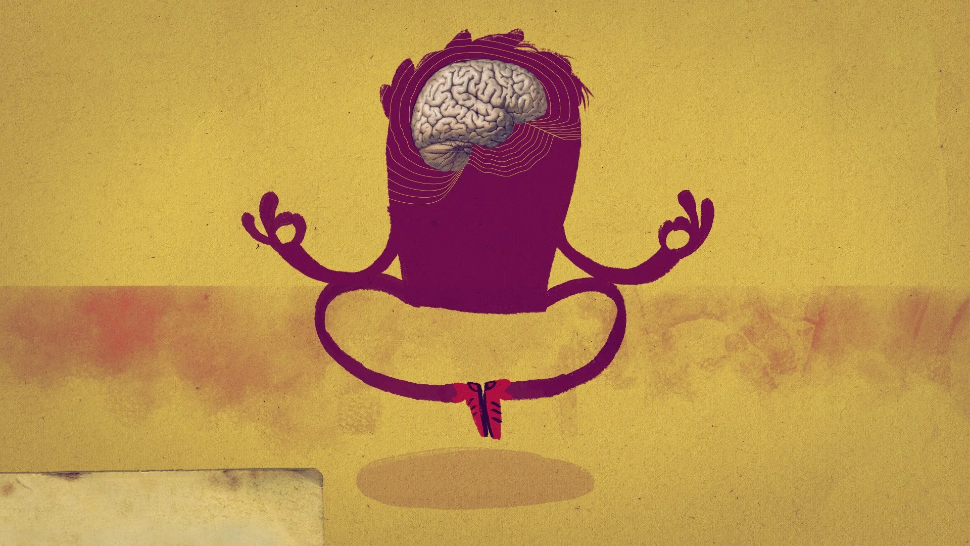 TED-Ed_Spontaneous_Brain_Preview_2.jpg