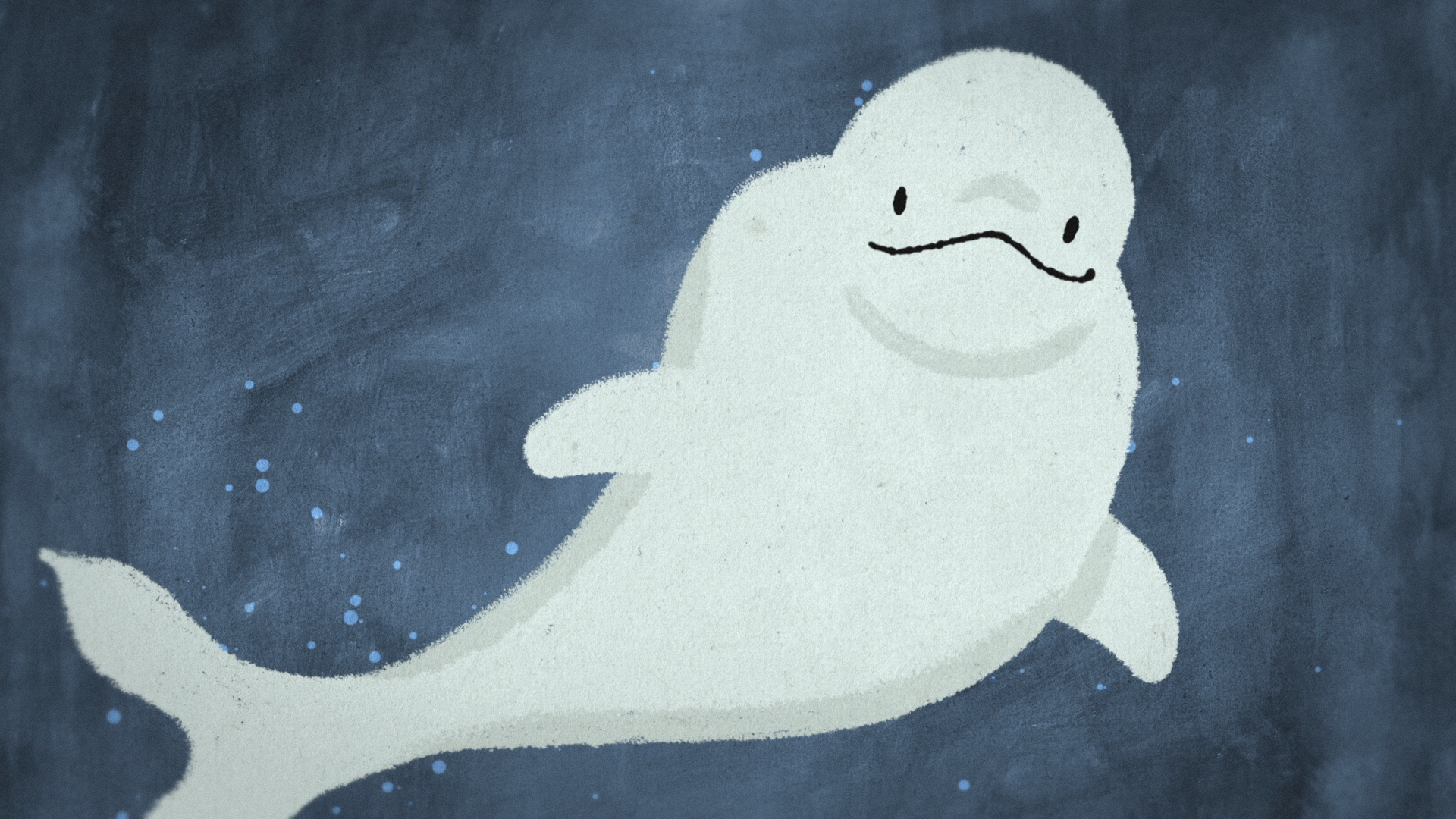 06_01m27_000s_white-seals.png